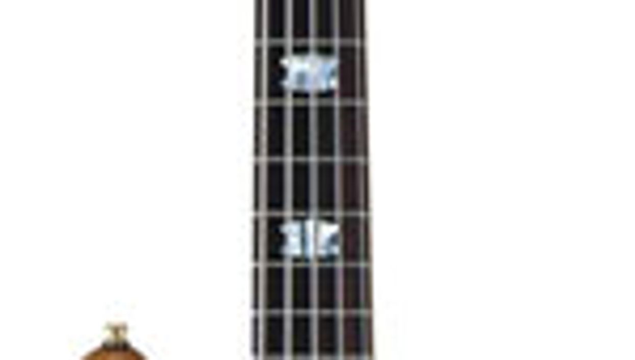 Spector Euro5LX EX & NS-5H2 FM Bass Reviews