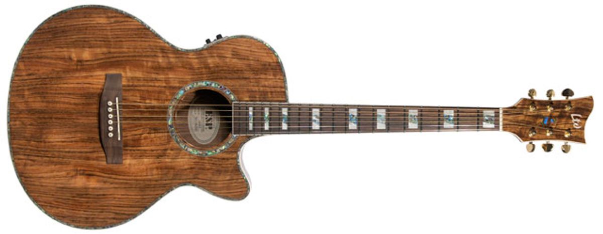 LTD Xtone EW-Z Zebra Wood Acoustic Guitar Review