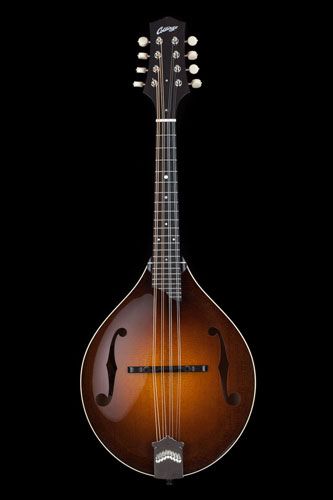 Collings Introduces the New MT Torrefied