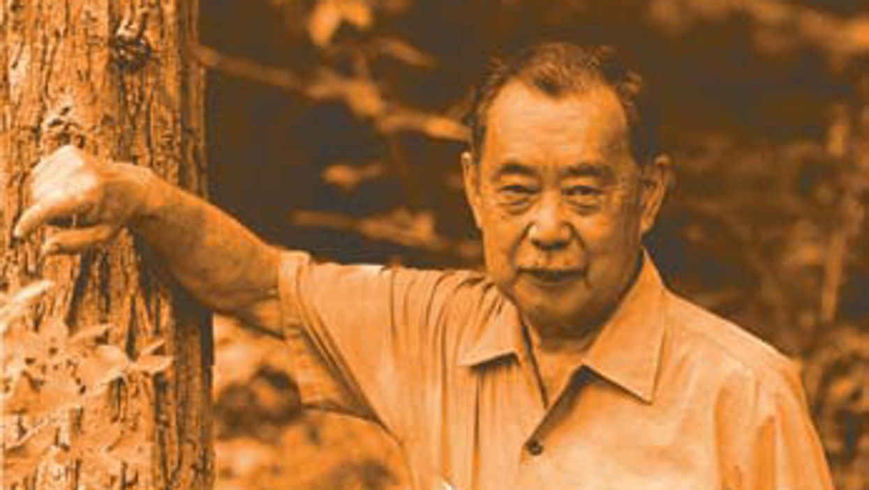 The Soul of A Guitar