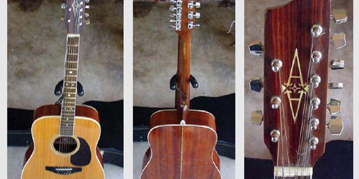 Trash or Treasure: Alvarez 9-String Guitar - Premier Guitar