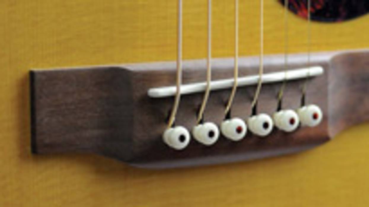 Sustainable Tone: The Forest and the Trees