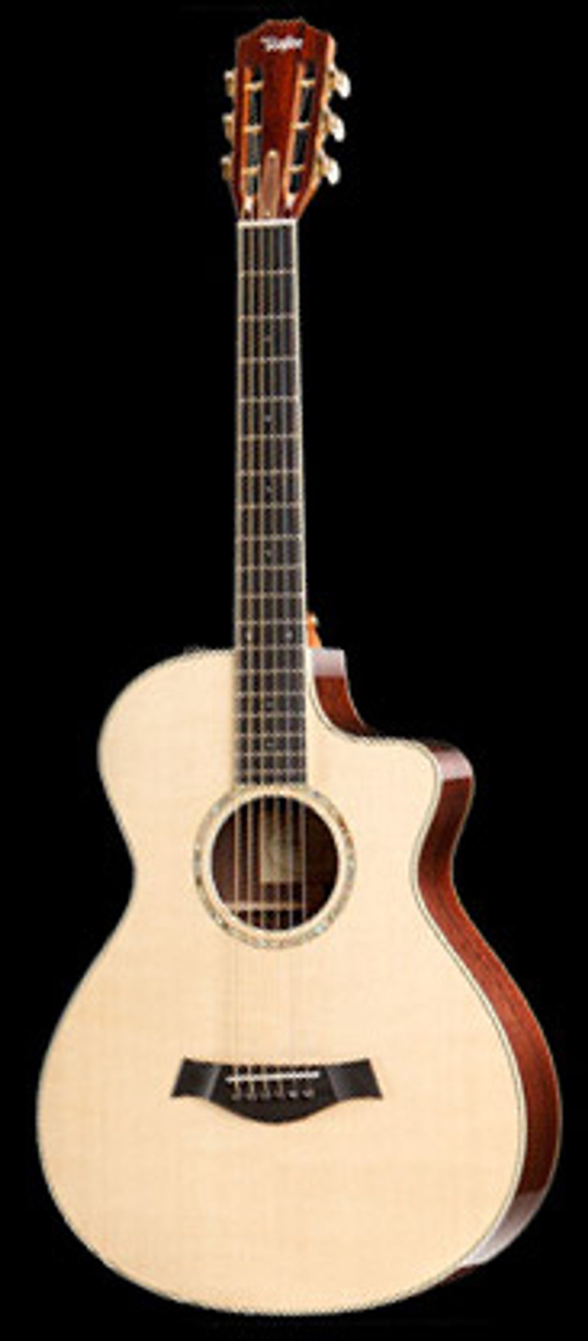 Taylor Guitars Adds 12-Fret Model to Specialty Line