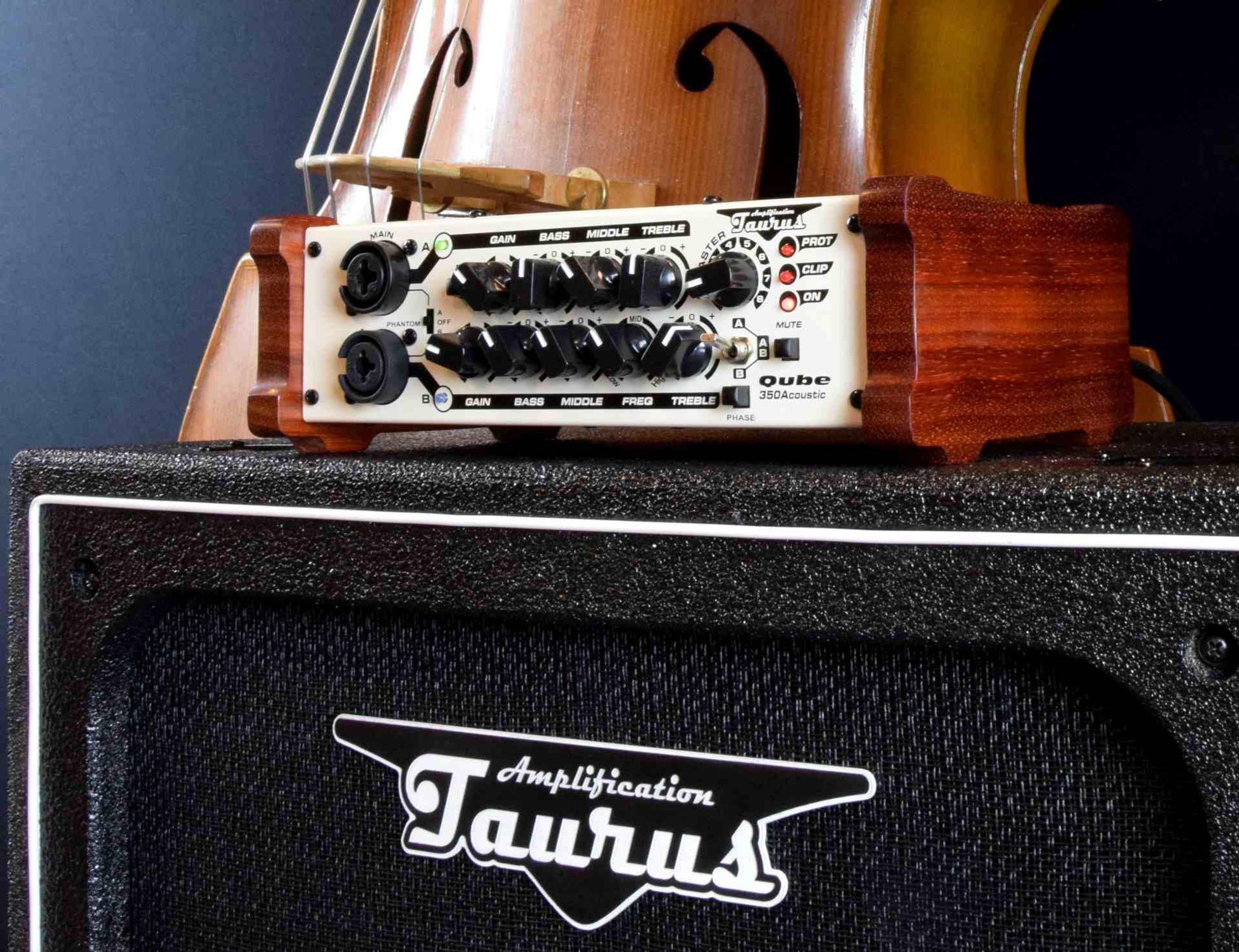 Taurus Amps Launches the Qube-350 Acoustic