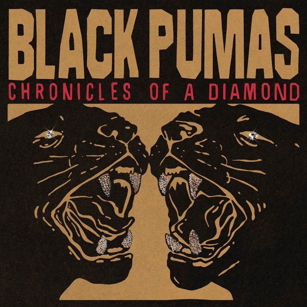 Black Pumas Announce Sophomore Album
