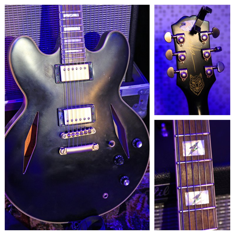 Epiphone emily wolfe Sheraton 小さ ES355