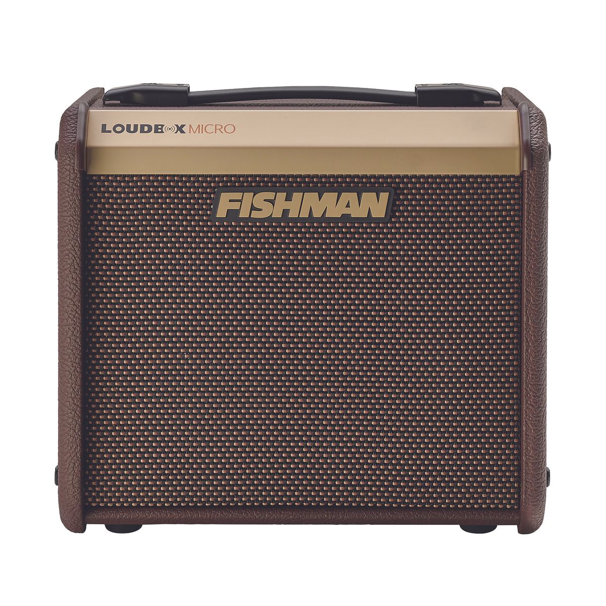 Fishman Loudbox Micro Review