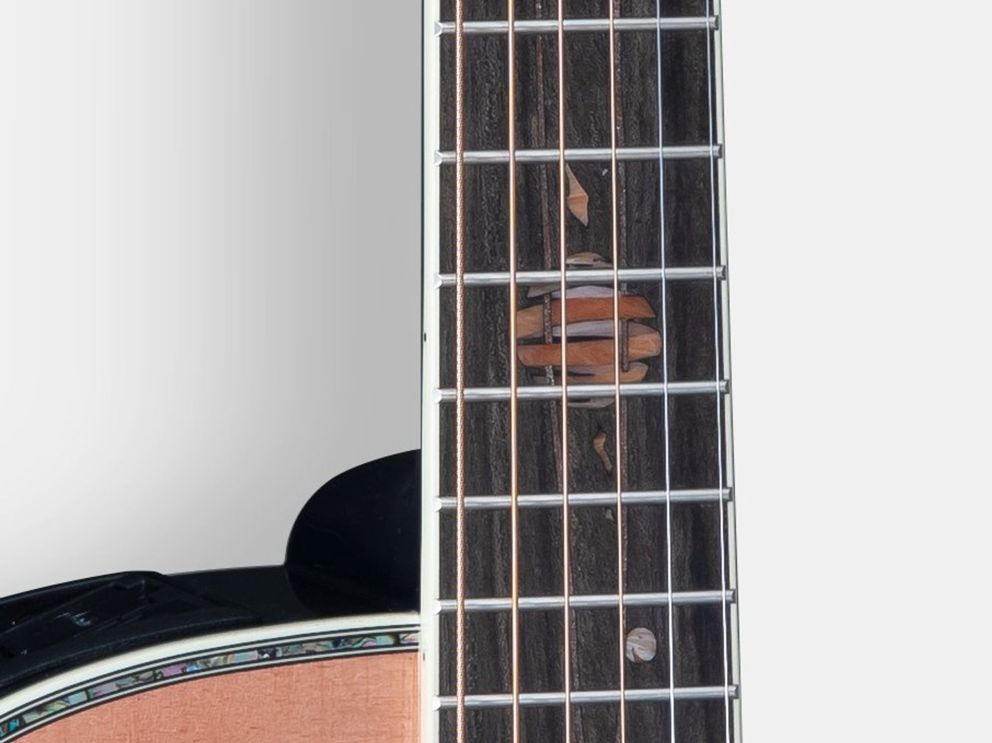 Takamine Guitars Unveils Limited-Edition LTD2024 at 2024 NAMM Show