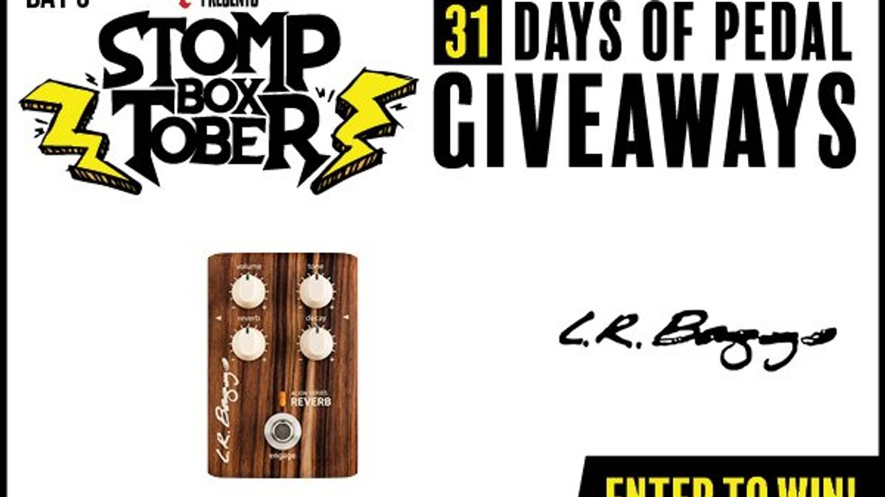 Stompboxtober 2024 Day #3: LR Baggs