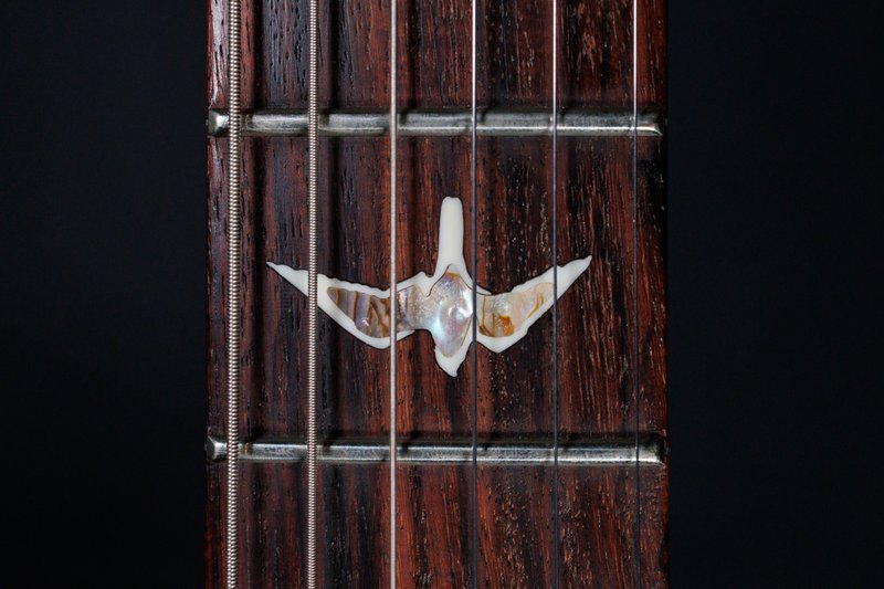 An Elegant PRS Guitar Tells the Truth About Angry Larry - Premier 