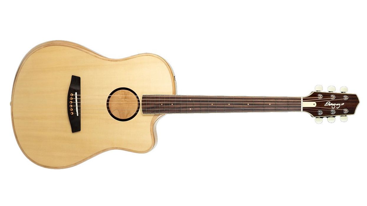 L.R. Baggs AEG-1 Review