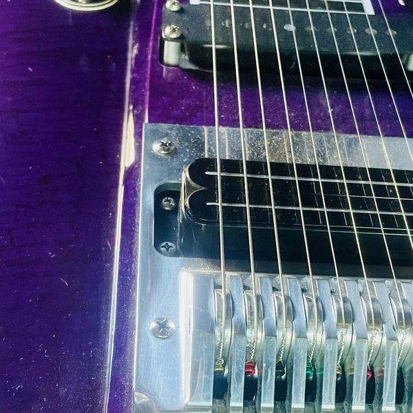 Last Call: Pedal SteelāThe Most American Instrument