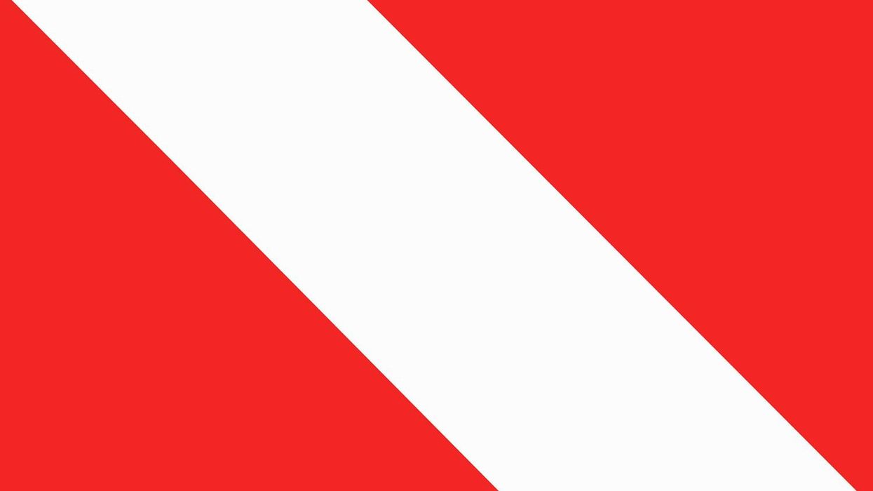 Diver Down Gets No Respect at All