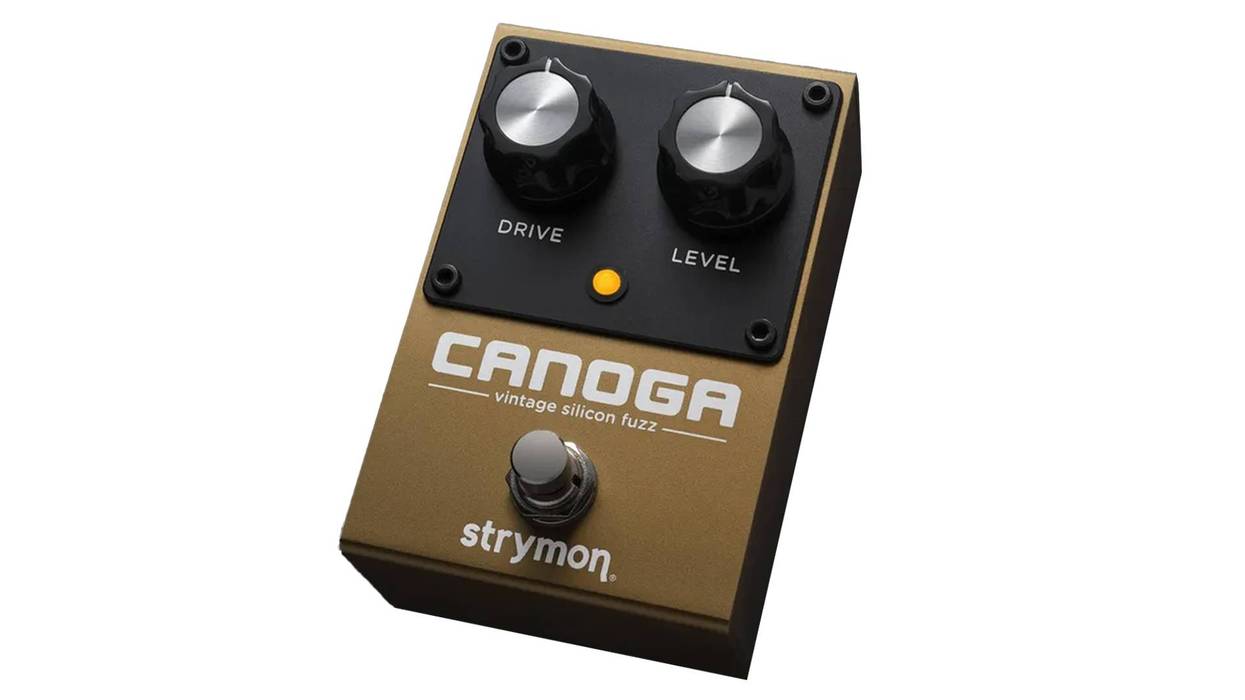 Strymon Canoga Review