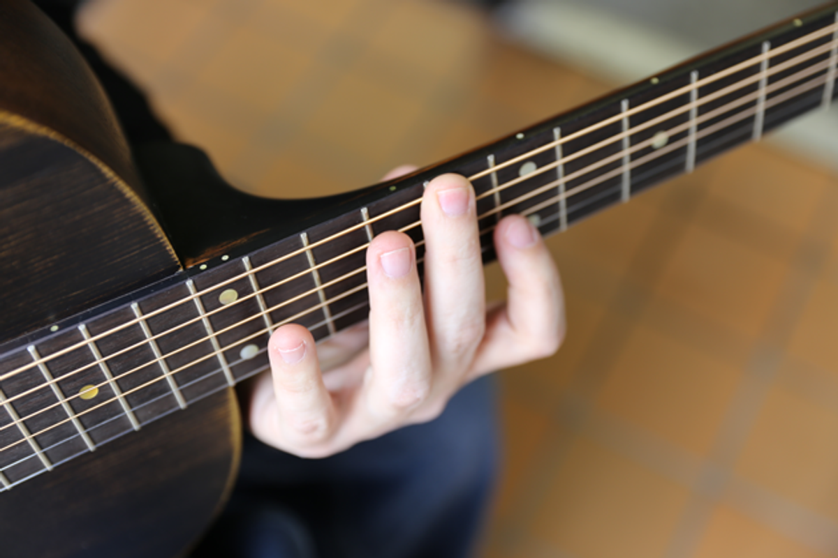 Acoustic Adventures: Harmonic Visions