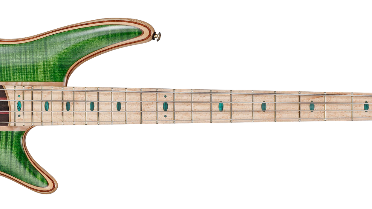 Ibanez Launches SR, MultiScale & Acoustic Basses