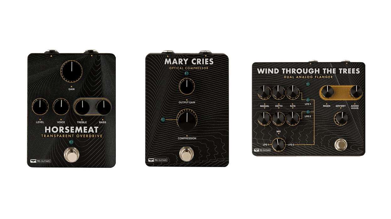 ギター Paul Reed Smith (PRS) HORSEMEAT PRS Pedal Review ギター Paul Reed Smith (PRS) HORSEMEAT PRS Pedal Review