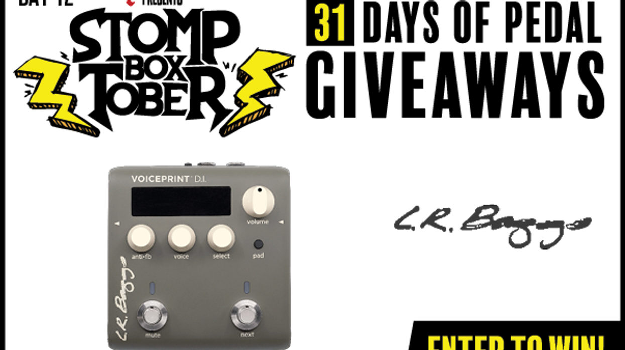 Day #12: LR Baggs