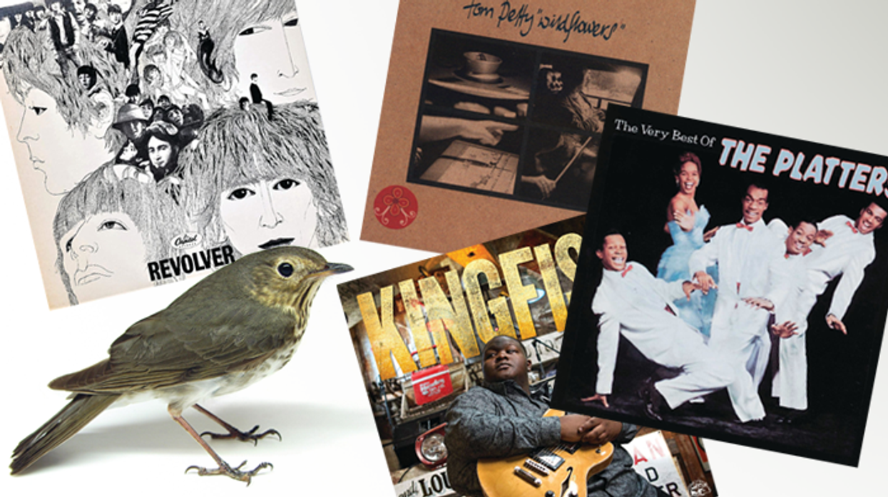 What Song or Artist Reminds You of Your Childhood?