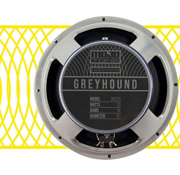 Mojotone greyhound sales