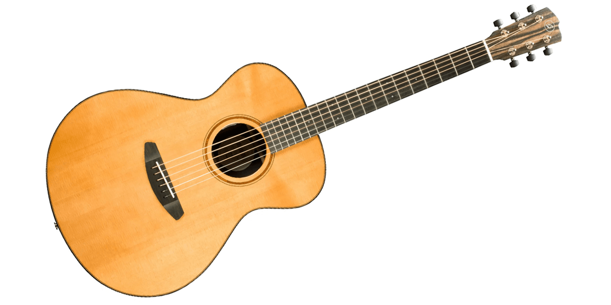 Breedlove Roots Concert RTC-SRe Review