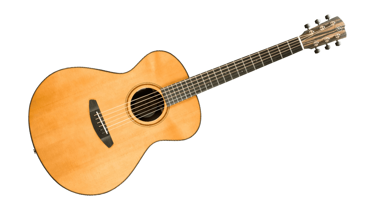 Breedlove Roots Concert RTC-SRe Review