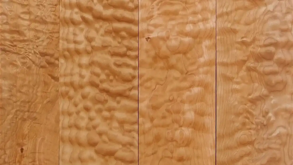 Electric Guitar Tonewood Teardown: Can We Get Good Sounds From Cheap Guitars?