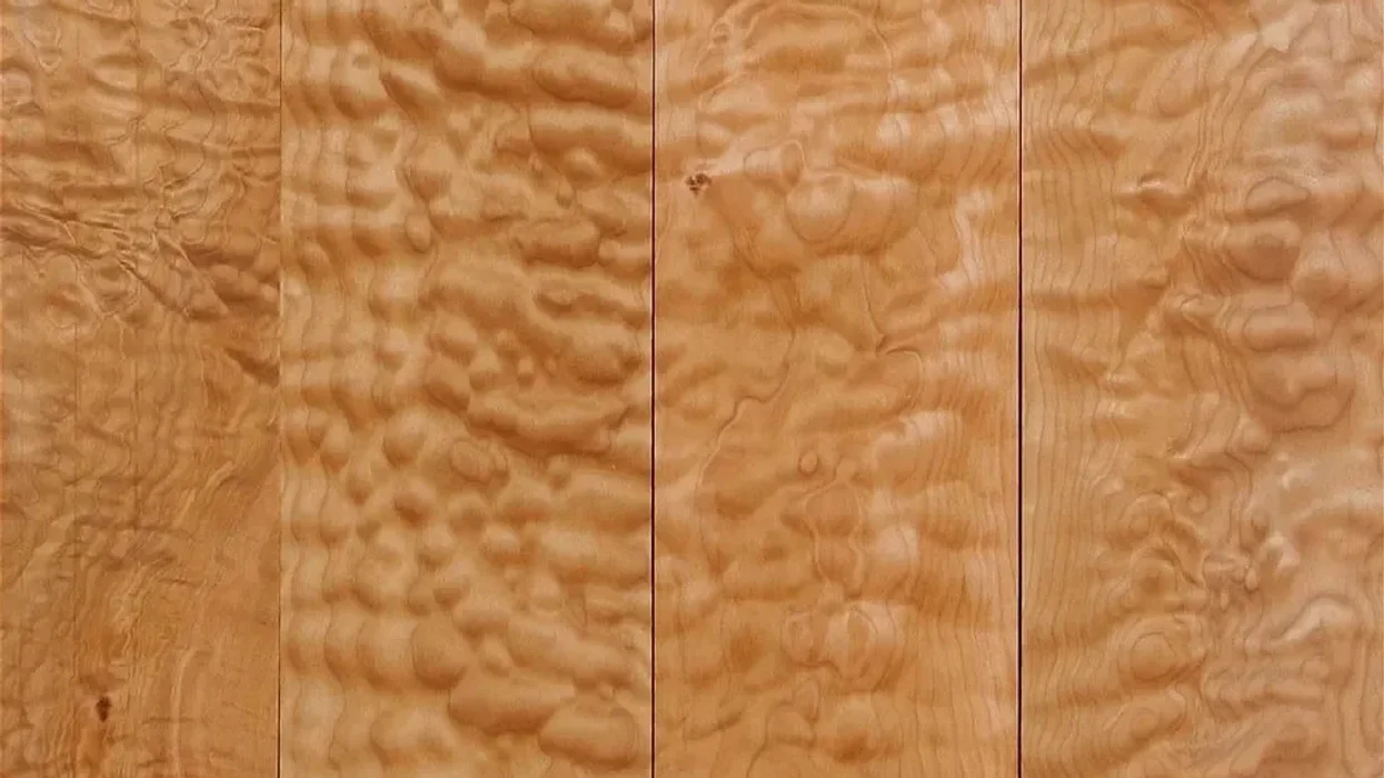 Electric Guitar Tonewood Teardown: Can We Get Good Sounds From Cheap Guitars?
