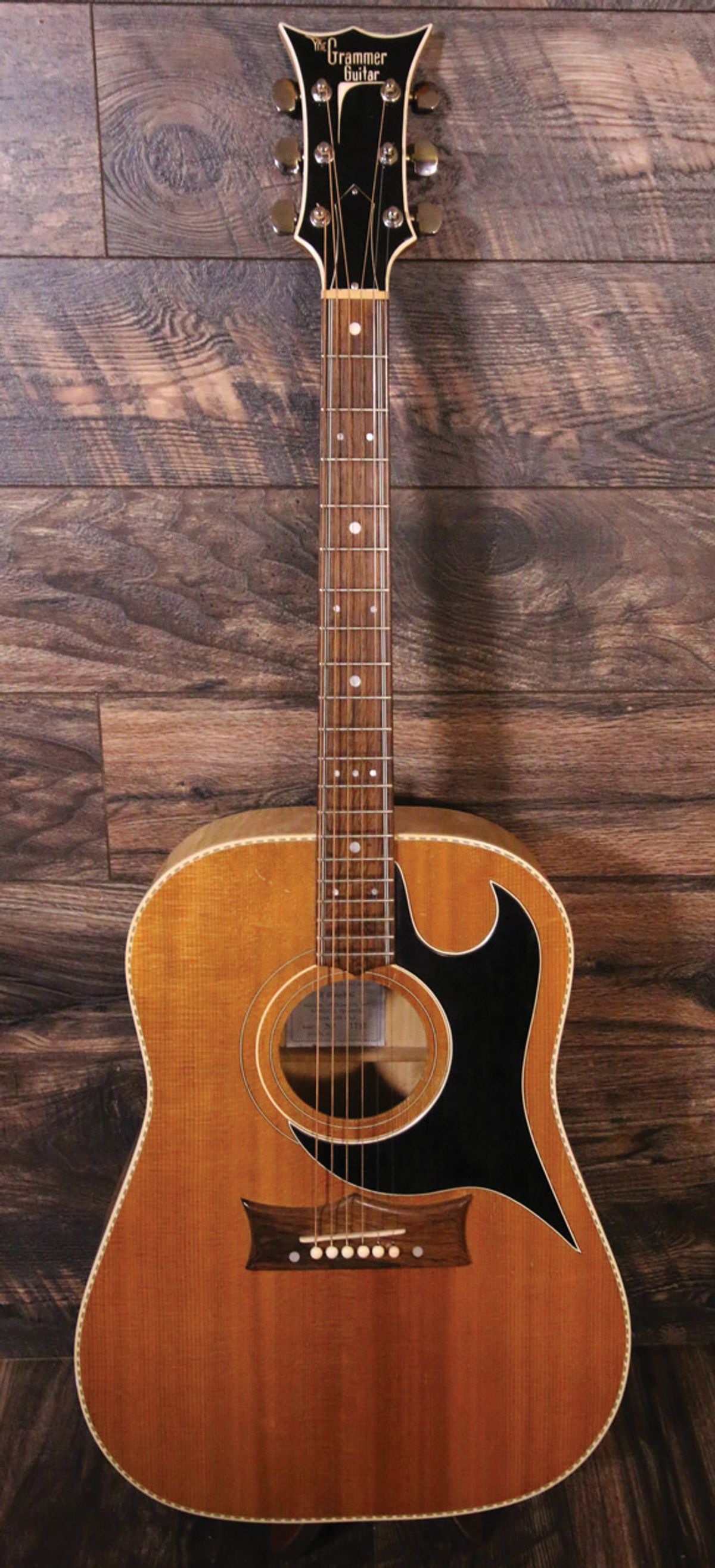 Billy Bought a Guitar ... Company