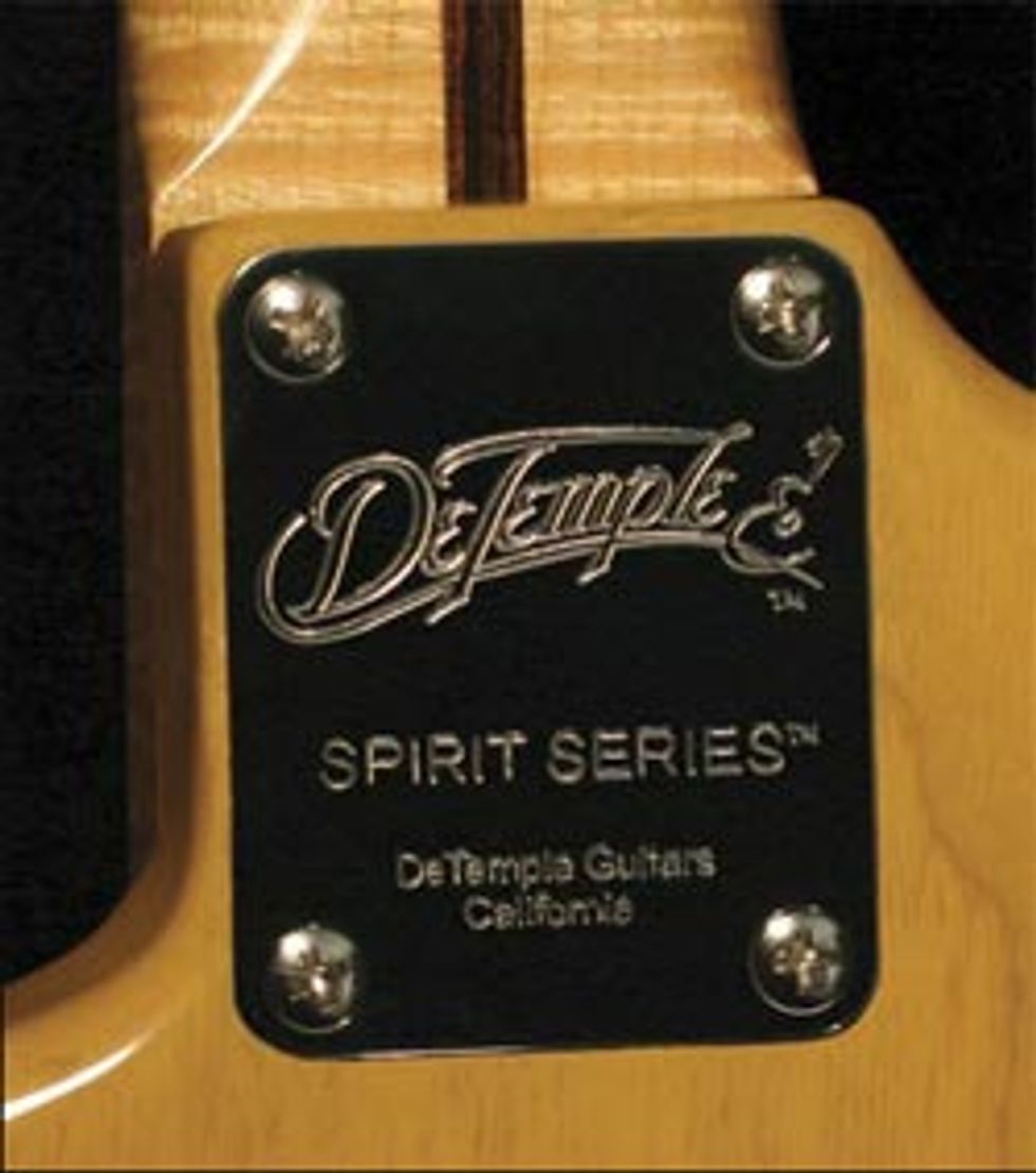 Michael DeTemple Spirit Series