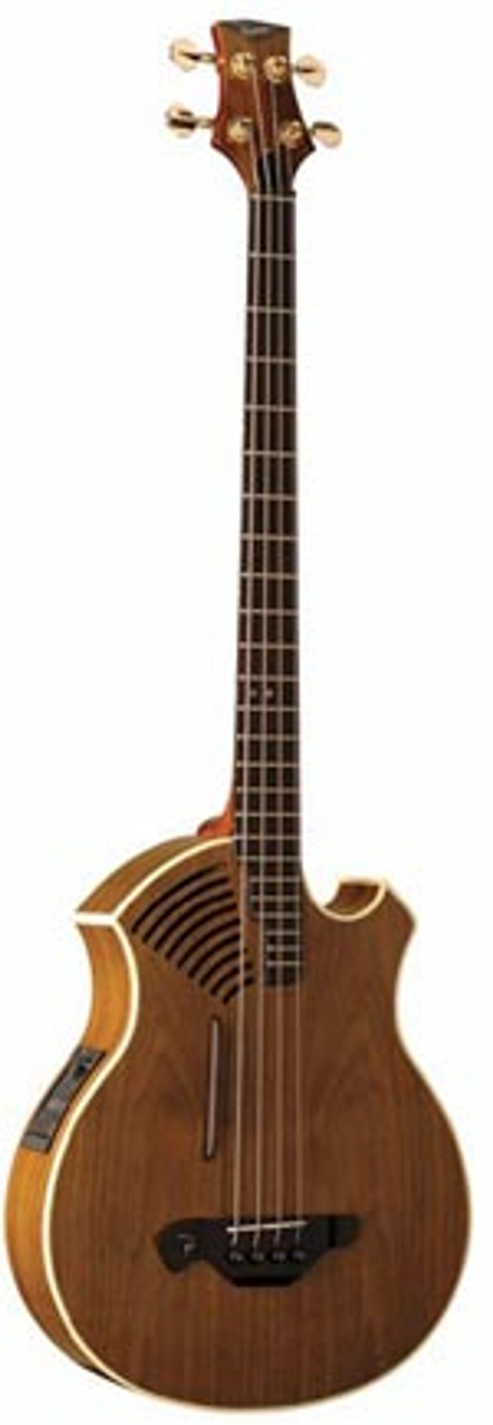 Parker Acoustic Bass PAB40