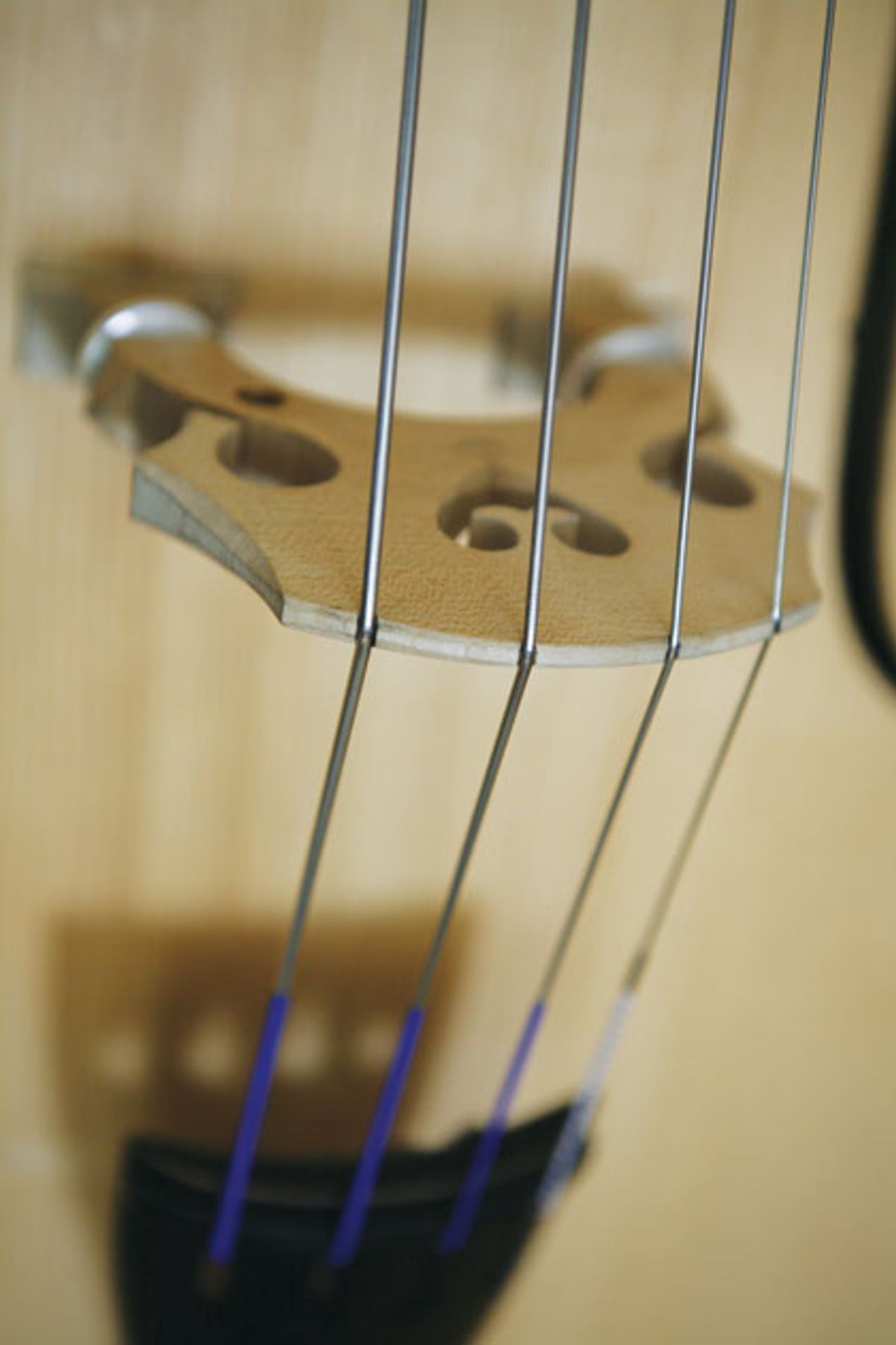 Bass Bench: Cold Facts About Strings