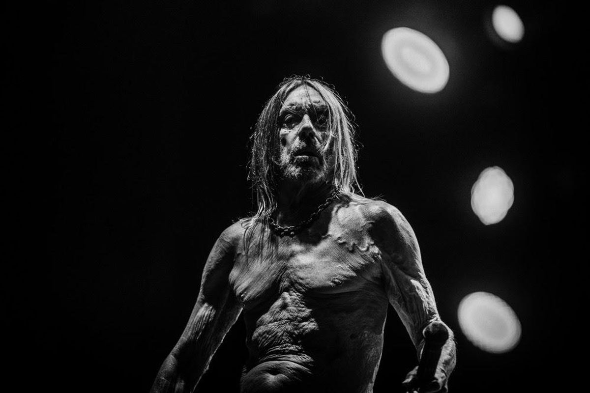 Iggy Pop Announces New Album 'Every Loser'