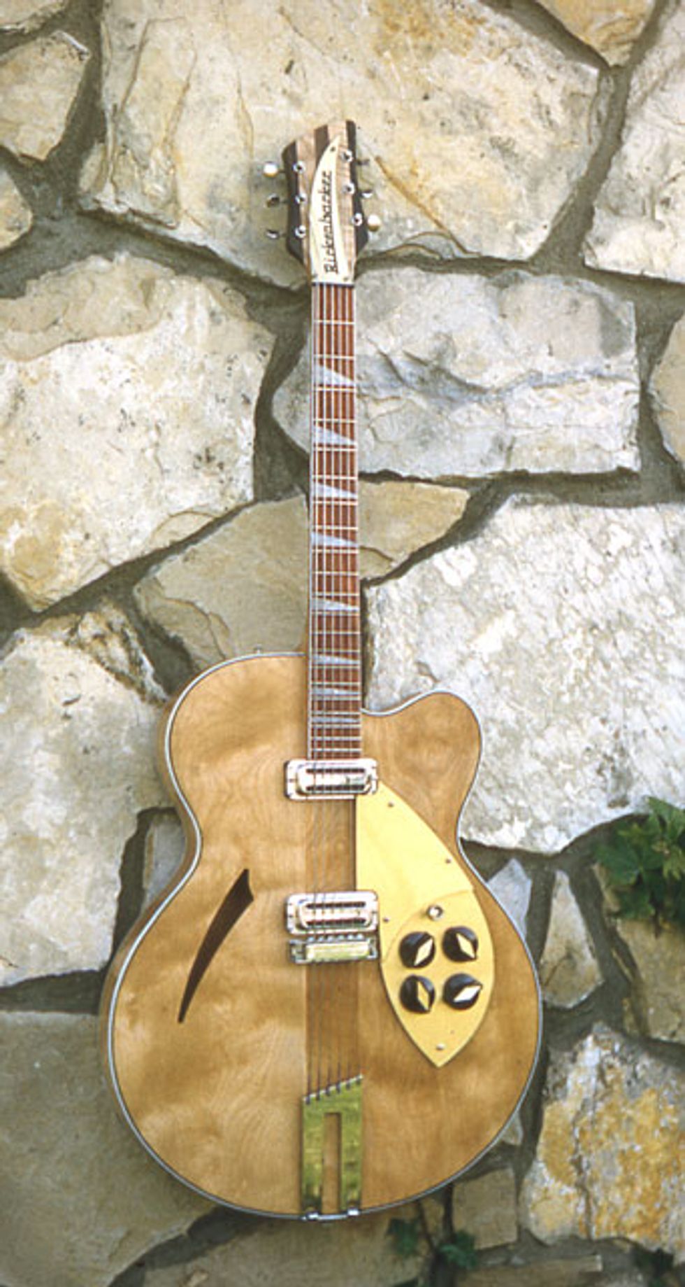 Rickenbacker F