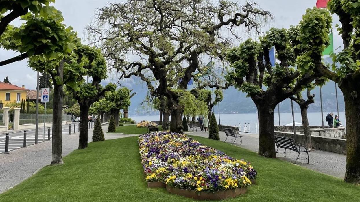 Last Call: Creativity Is Gardening, Not Architecture