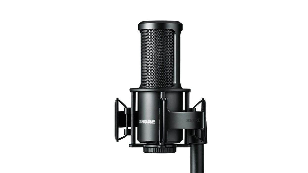 Shure SM4 mic