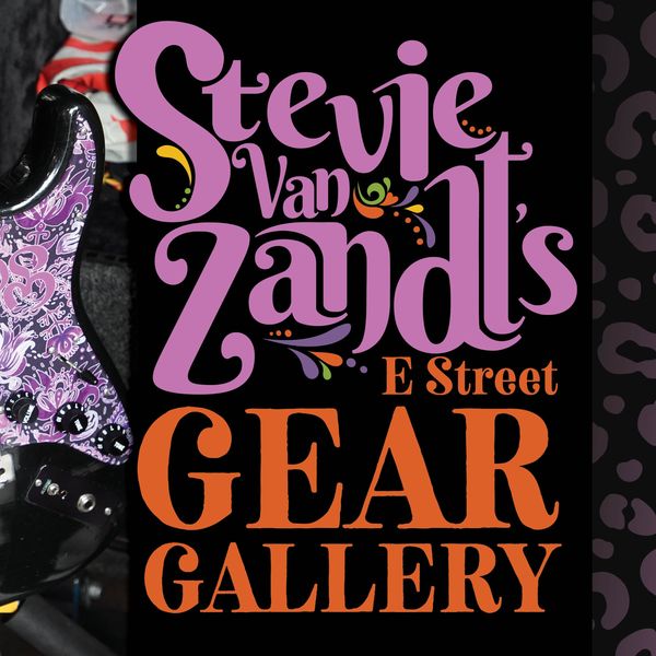 Steve Van Zandt guitar gallery
