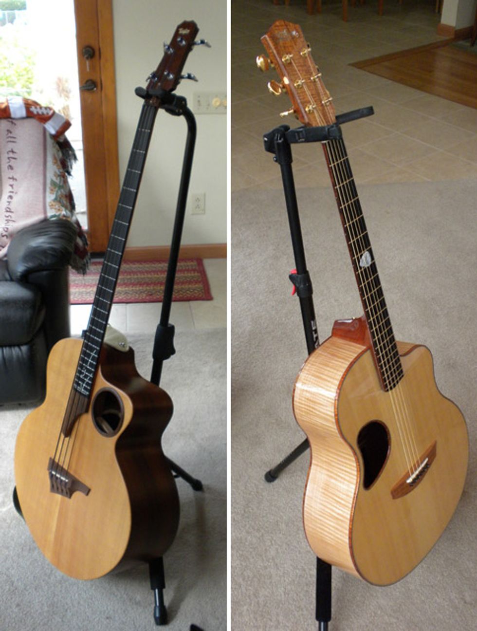 Taylor AB-1 Bass and McPherson Maple 5.0 XP