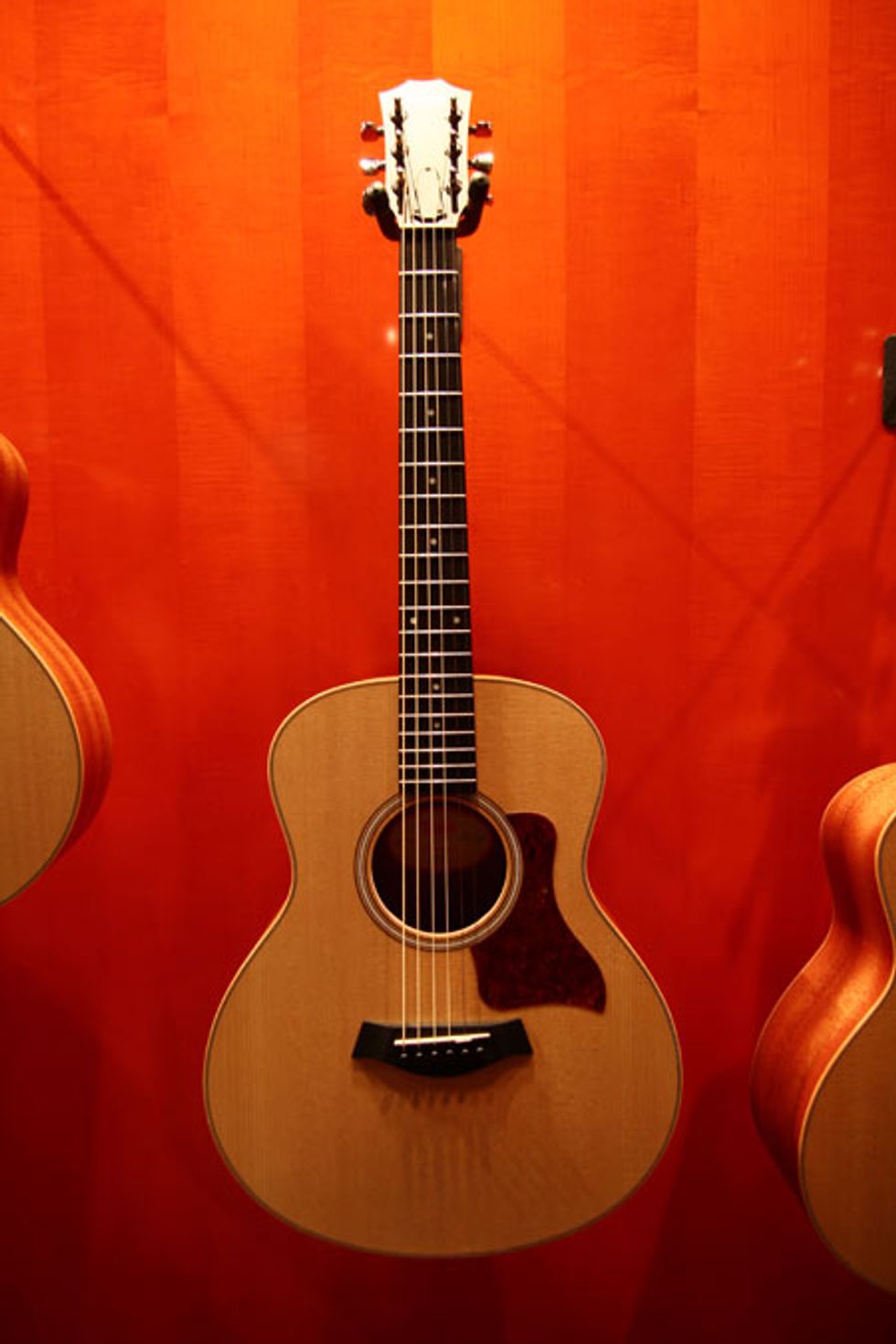 Taylor GS Mini