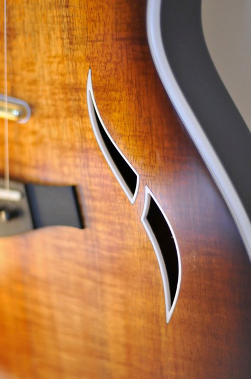 Taylor T5