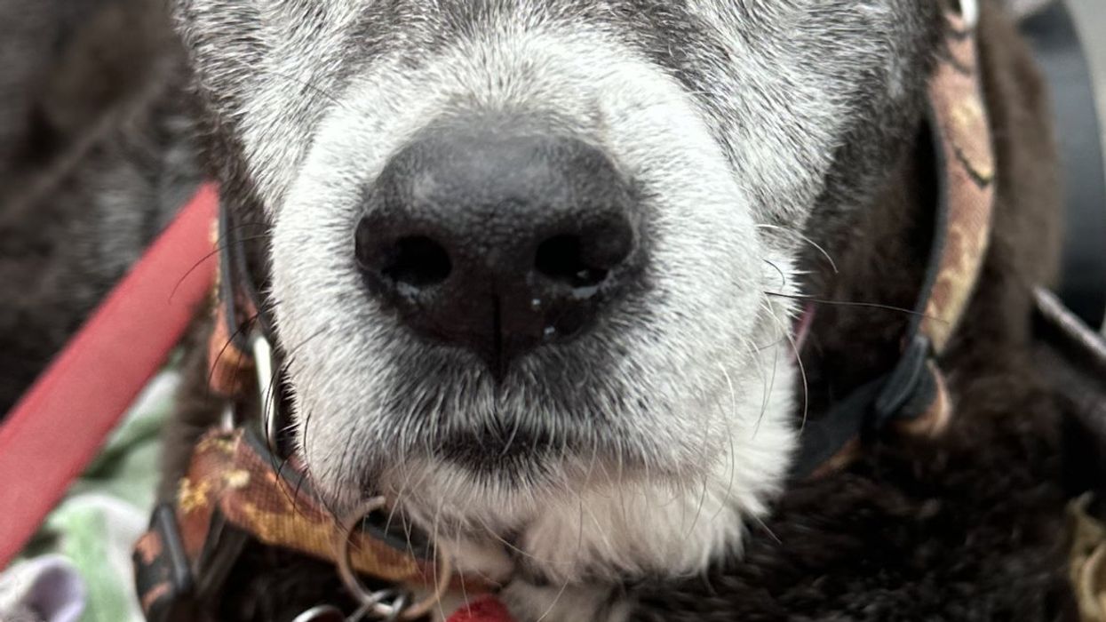 Seeking Inspiration in NAMM Gear