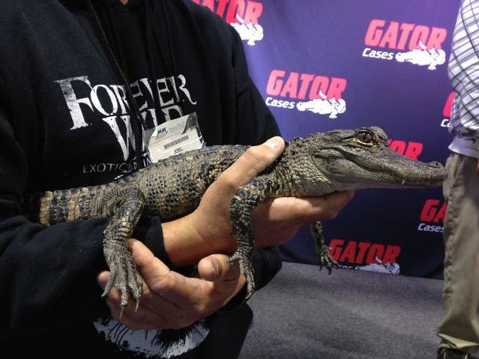 The Gator Cases Booth