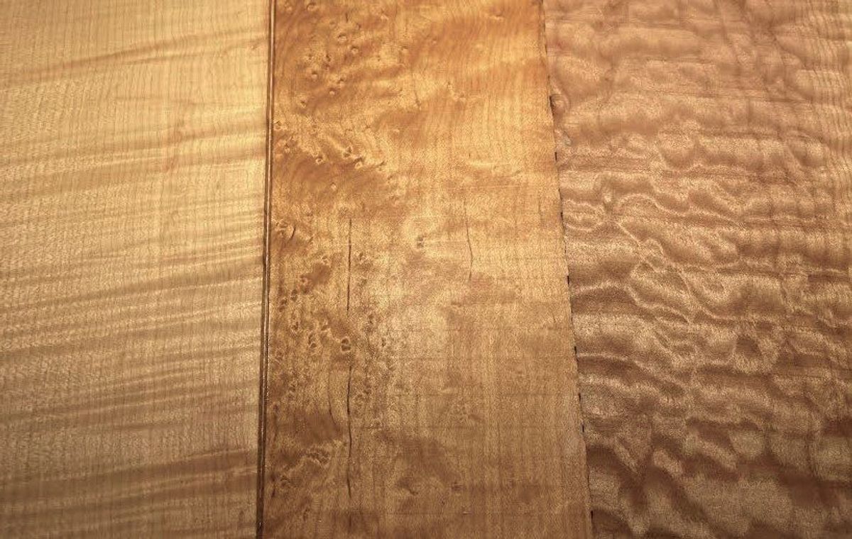 Maple, the Unsung Tonewood