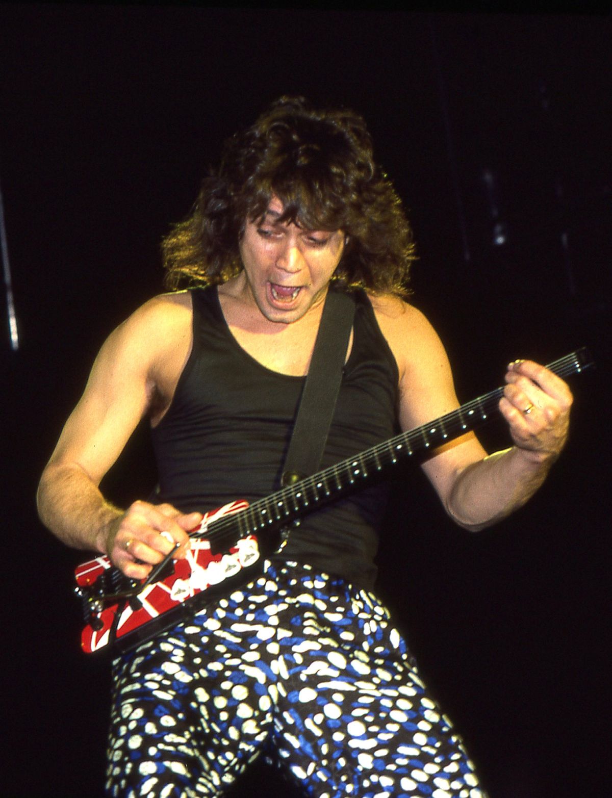 Van Halen at Giants Stadium