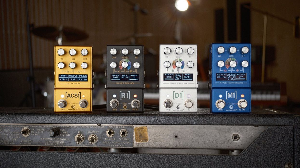 walrus audio