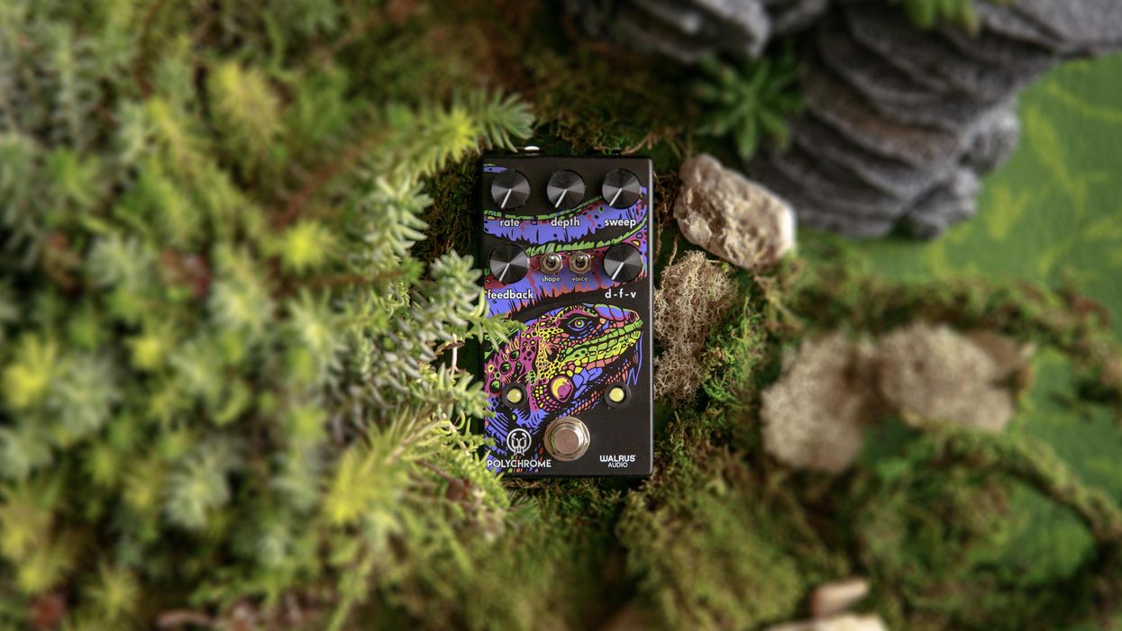 Walrus Polychrome Flanger