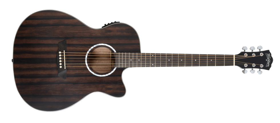 Washburn Ebony ACE